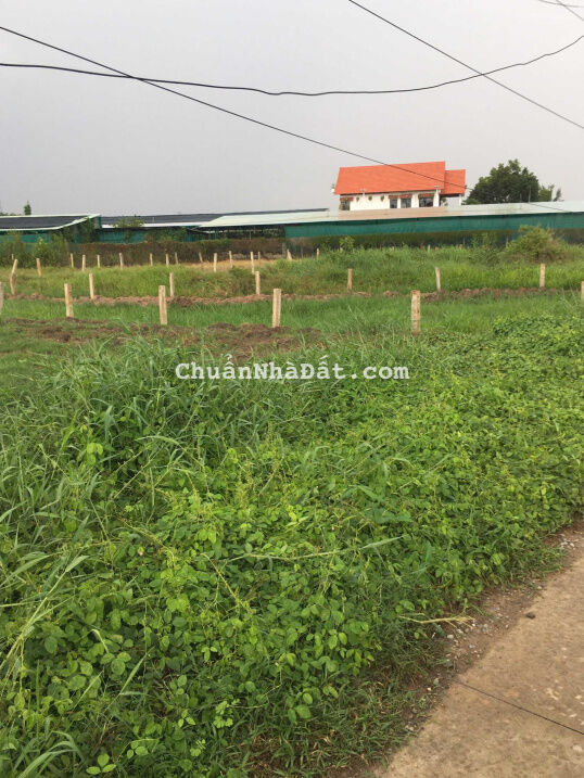 Bán đất thổ cư mặt tiền đường Cây Điệp, xã Nhựt Chánh, Huyện Bến Lức, Tỉnh Long An. 2.1 tỷ