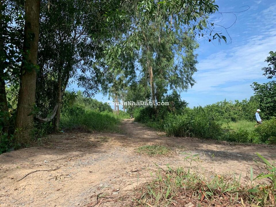 2 Mặt tiền view kênh, Đường ô tô tới đất Giá 660tr/ 1000m2