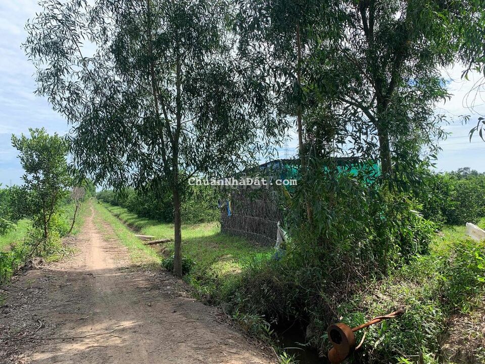 2 Mặt tiền view kênh, Đường ô tô tới đất Giá 660tr/ 1000m2