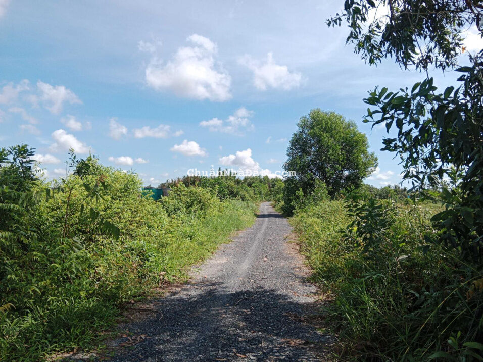 Đất đẹp đường rộng mặt tiền kênh khu dân cư hiện hữu giá đầu tư tốt làm nhà vườn đẹp khỏi chê