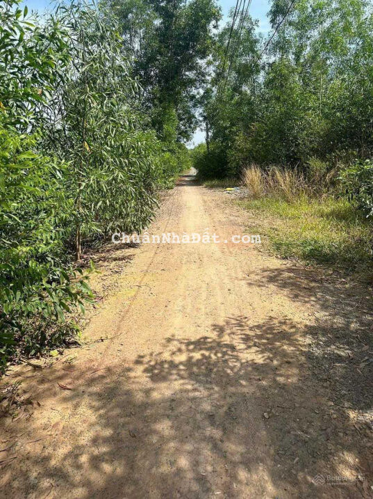 Bán đất tặng vườn mai khu vực phát triển mạnh mua đầu tư lợi nhuận nhanh