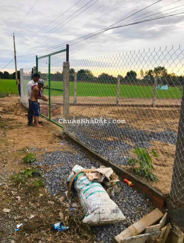 10x48m (485m2 thổ) mặt tiền nhựa cách UBND xã Nhựt Chánh 500m 10x48m (485m2 thổ) mặt tiền nhựa cách UBND xã Nhựt Chánh 500m