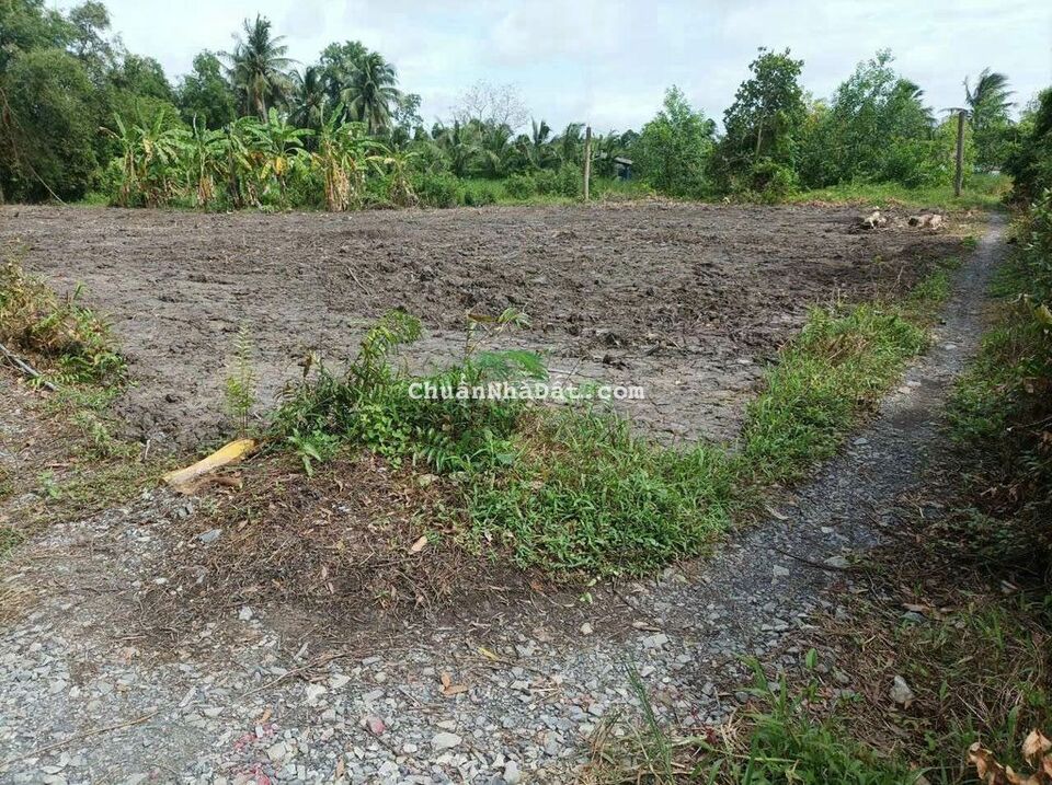 20x26m2 ( 500m2 CLN) đường đá xanh xe bán tải