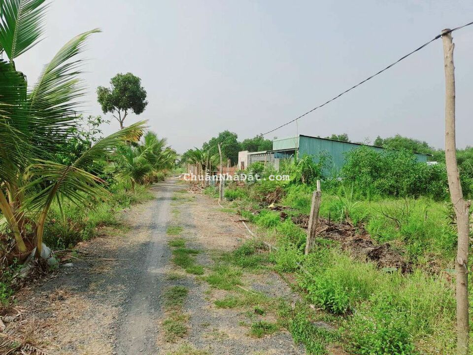 520m2 đất xây nhà vườn tuyệt đẹp 10x 50m, chỉ 650 tr