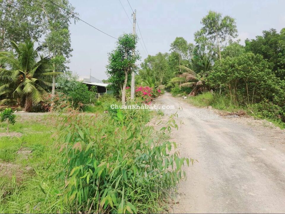 520m2 đất xây nhà vườn tuyệt đẹp 10x 50m, chỉ 650 tr