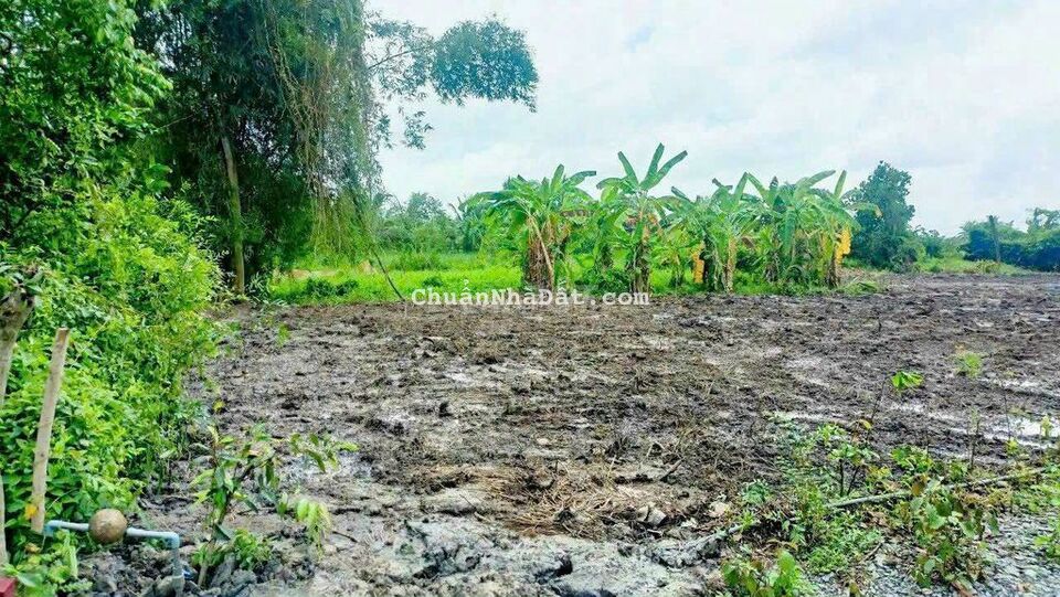 830m2 thổ + vườn nền sẵn đường xe bán tải tới đất 830m2 thổ + vườn nền sẵn đường xe bán tải tới đất