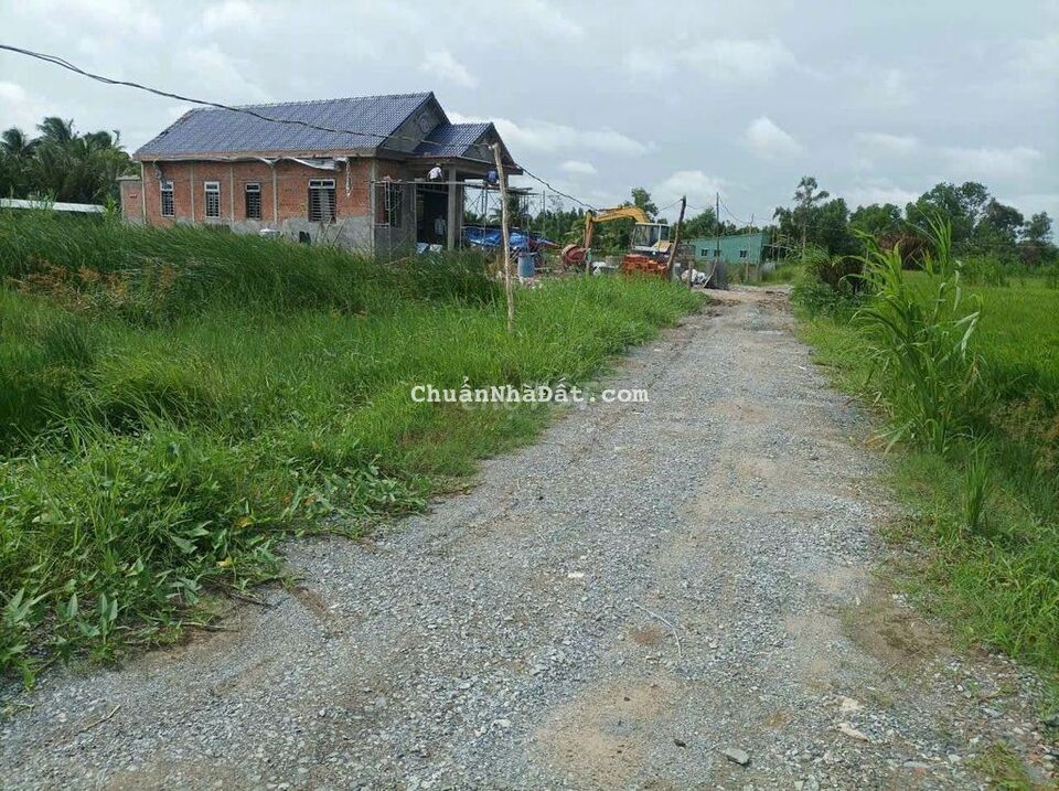 830m2 thổ + vườn nền sẵn đường xe bán tải tới đất 830m2 thổ + vườn nền sẵn đường xe bán tải tới đất