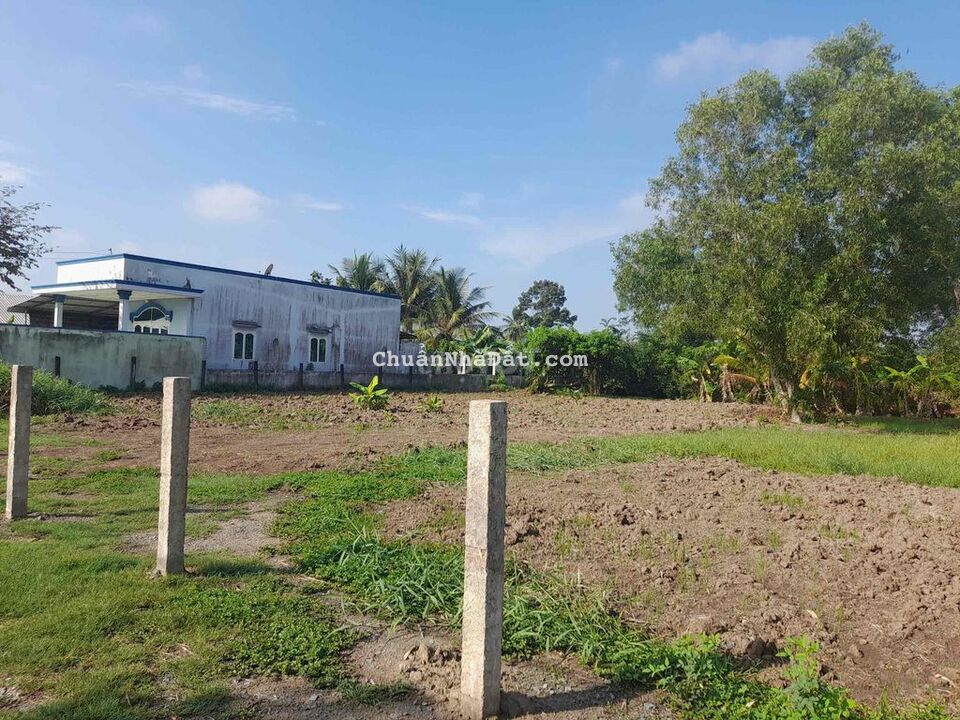 Nhánh QL1A, đoạn gần cầu bến lức, đất nông nghiệp cho chuyển thổ