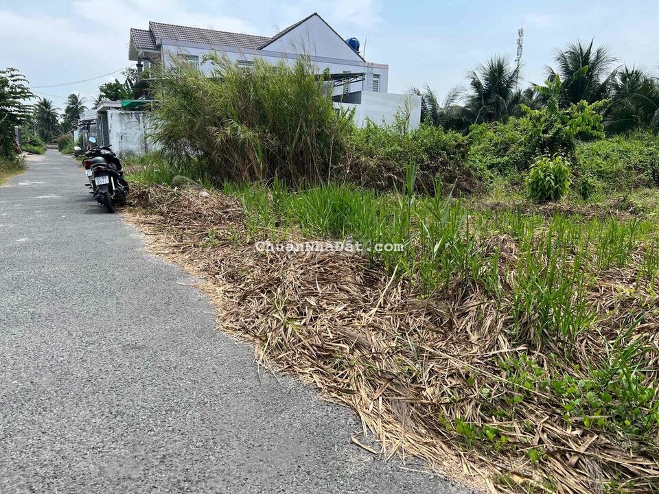 Bán nền full thổ mặt đường nhựa Phú Hưng, TP BTre Bán nền full thổ mặt đường nhựa Phú Hưng, TP BTre