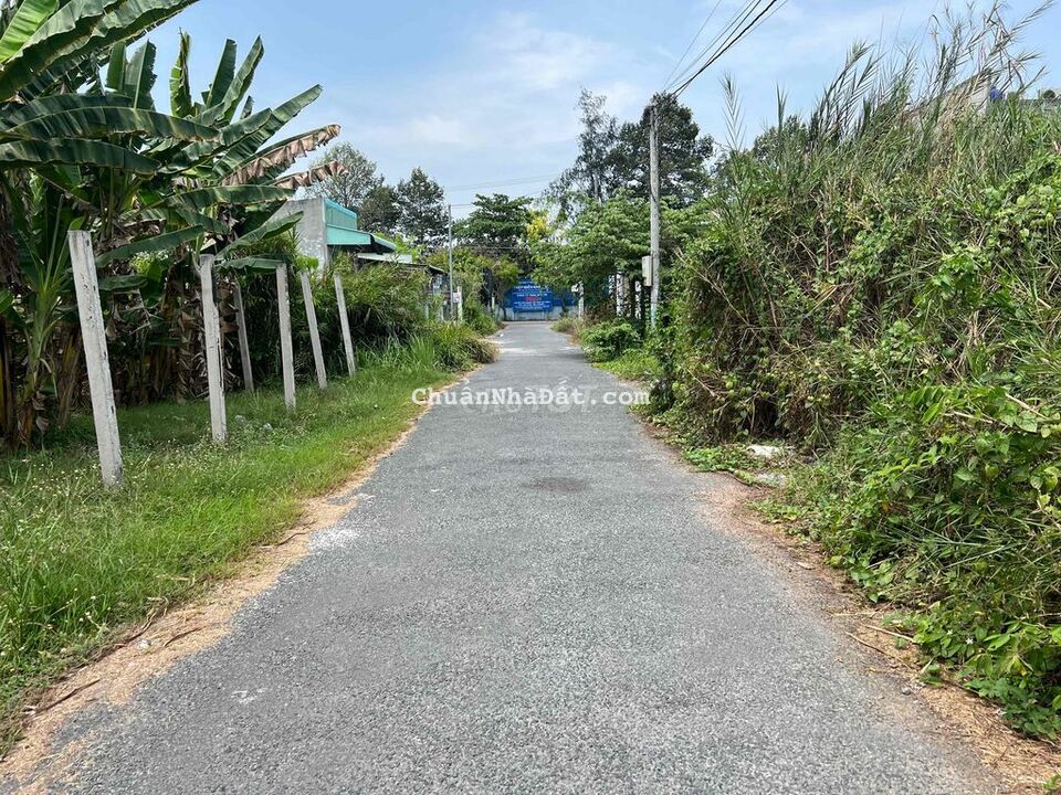 Bán nền full thổ mặt đường nhựa Phú Hưng, TP BTre Bán nền full thổ mặt đường nhựa Phú Hưng, TP BTre