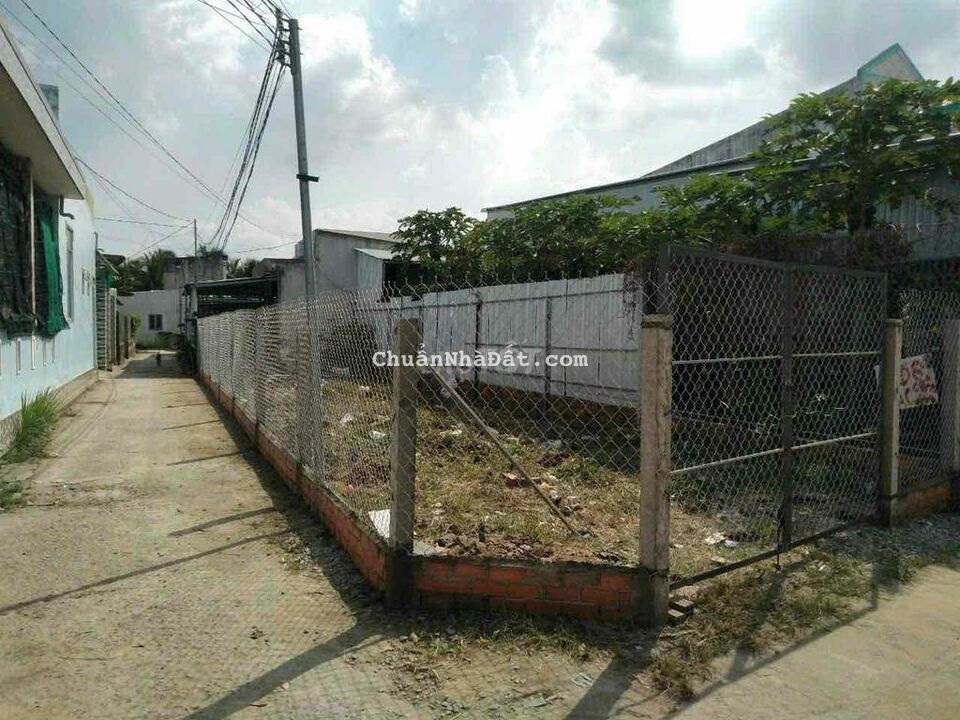 Bán nền gốc hai mặt đường xe oto 16 chỗ tận đất P.8, TP Bến Tre Bán nền gốc hai mặt đường xe oto 16 chỗ tận đất P.8, TP Bến Tre