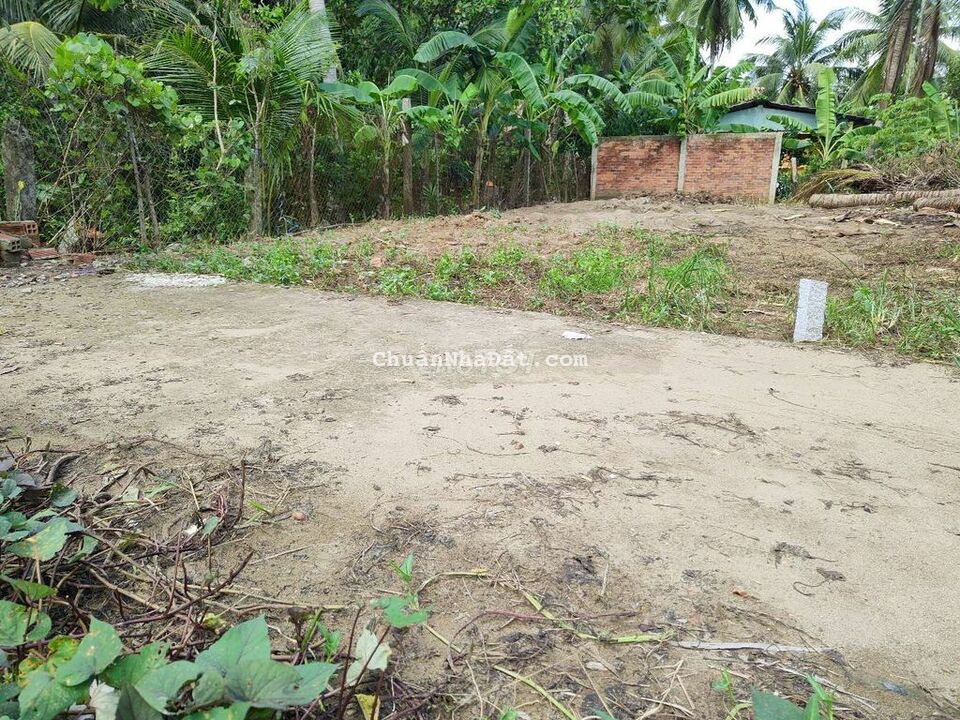 Đất xã Phú Nhuận