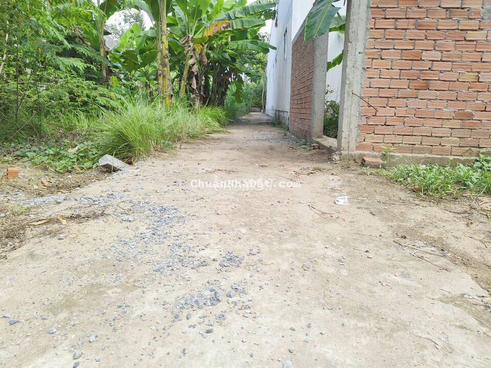 Đất xã Phú Nhuận