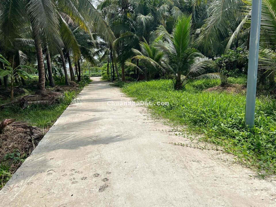 Bán nền 126m² có sẵn 50m² thổ cư đường oto 7 chỗ Sơn Đông, TP Bến Tre Bán nền 126m² có sẵn 50m² thổ cư đường oto 7 chỗ Sơn Đông, TP Bến Tre