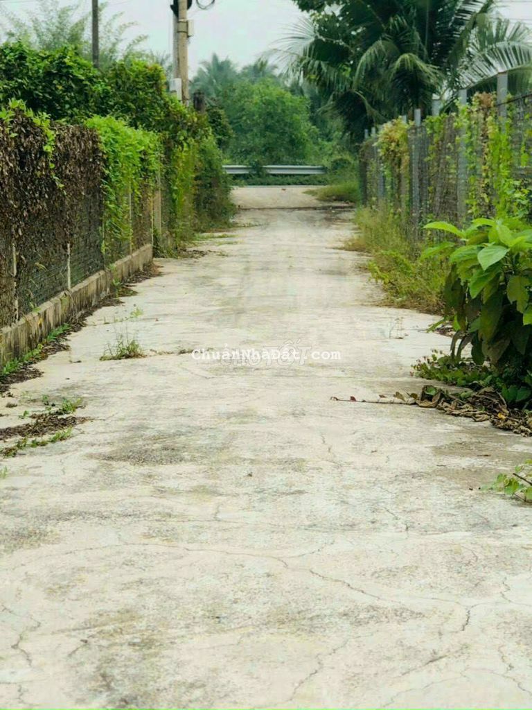 NỀN 6.5 X 20M PHÚ TÂN CÁCH NHỰA 173 CHỈ 100M OTO NỀN 6.5 X 20M PHÚ TÂN CÁCH NHỰA 173 CHỈ 100M OTO