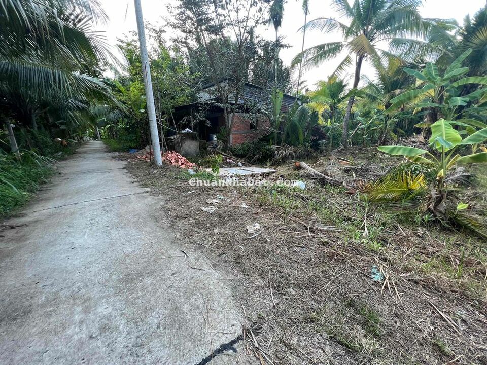 Bán 1700m² đất vườn dừa Nhơn Thạnh, TP Bến Tre