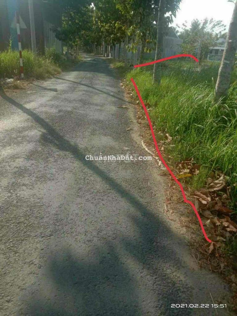 Bán nền 188m2 full thổ lộ Phú Nhơn, Nhơn Thạnh, TP Bến Tre Bán nền 188m2 full thổ lộ Phú Nhơn, Nhơn Thạnh, TP Bến Tre