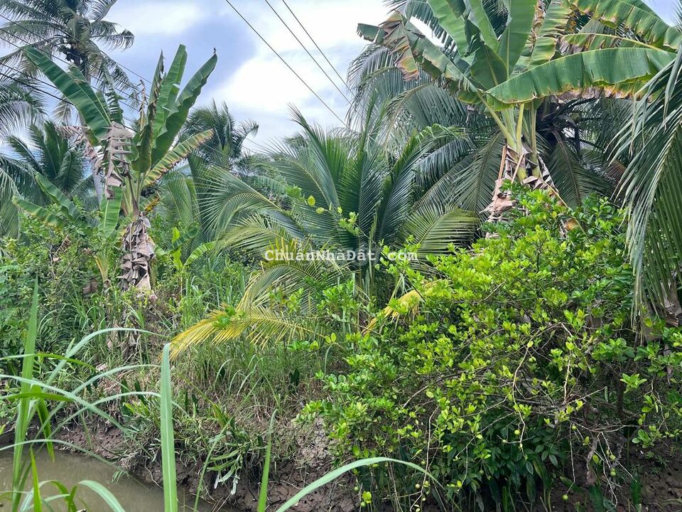 Bán 560m2 đất vườn Nhơn Thạnh, TP Bến Tre