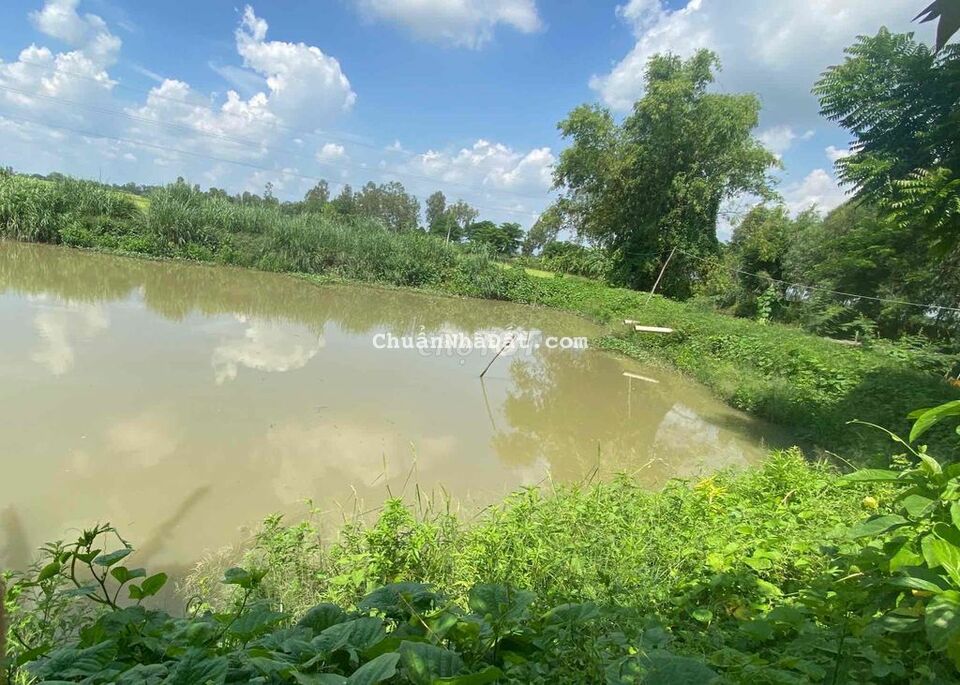 Bán 7,5 công đất có vườn cây ăn trái Hoà An - Bình Hoà