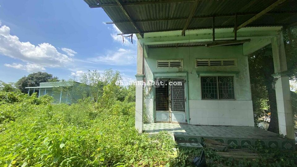 Bán 7,5 công đất có vườn cây ăn trái Hoà An - Bình Hoà