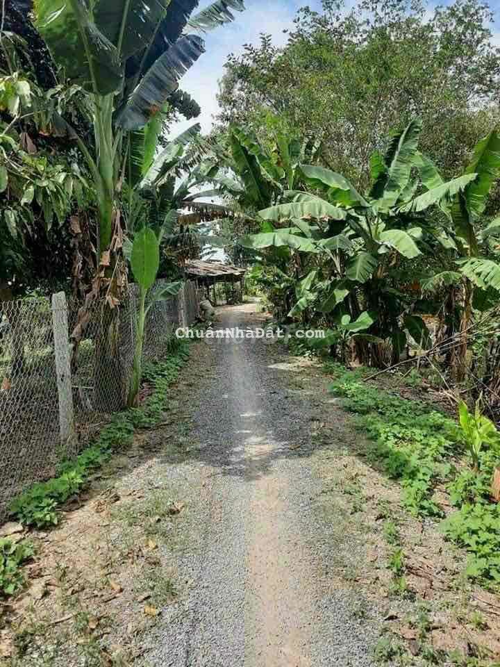 Bán gần 1 công đất kênh Trà Sa - gần chợ phú hoà Bán gần 1 công đất kênh Trà Sa - gần chợ phú hoà