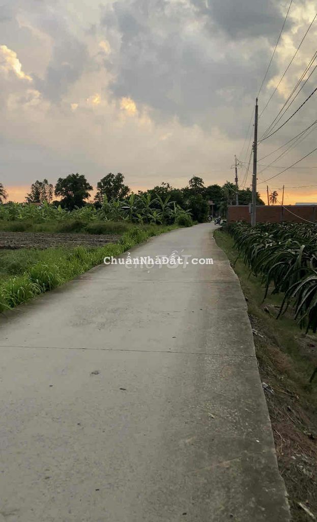 Giảm mạnh giá 1.007m2 đất lúa chỉ còn 580tr Châu Thành có bán lẻ 500m2