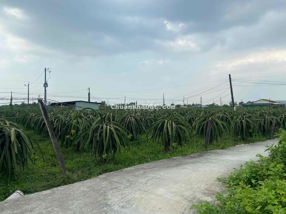 Đất thổ Vĩnh Công đường xe hơi ngay sau trường học, gần chợ uỷ ban