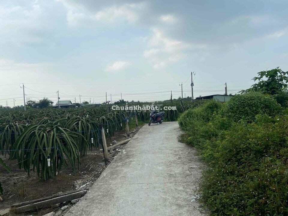 Đất thổ Vĩnh Công đường xe hơi ngay sau trường học, gần chợ uỷ ban