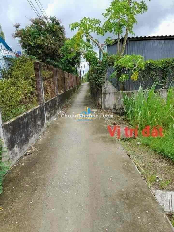 Bán đất thổ cư xã Thanh Phú Long, huyện Châu Thành, Long An Bán đất thổ cư xã Thanh Phú Long, huyện Châu Thành, Long An