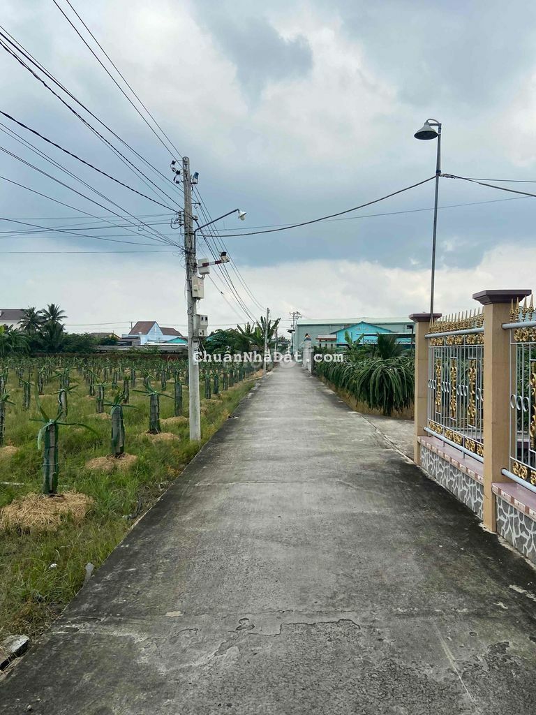 Đất thổ Châu Thành 2 mặt tiền 146m2 đẹp tốt ngộp