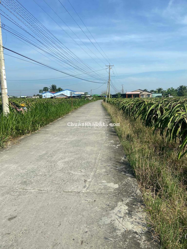 Đất thổ cư vị trí đẹp gần chợ Ông Bái 175m2 giá cực tốt để đầu tư Đất thổ cư vị trí đẹp gần chợ Ông Bái 175m2 giá cực tốt để đầu tư