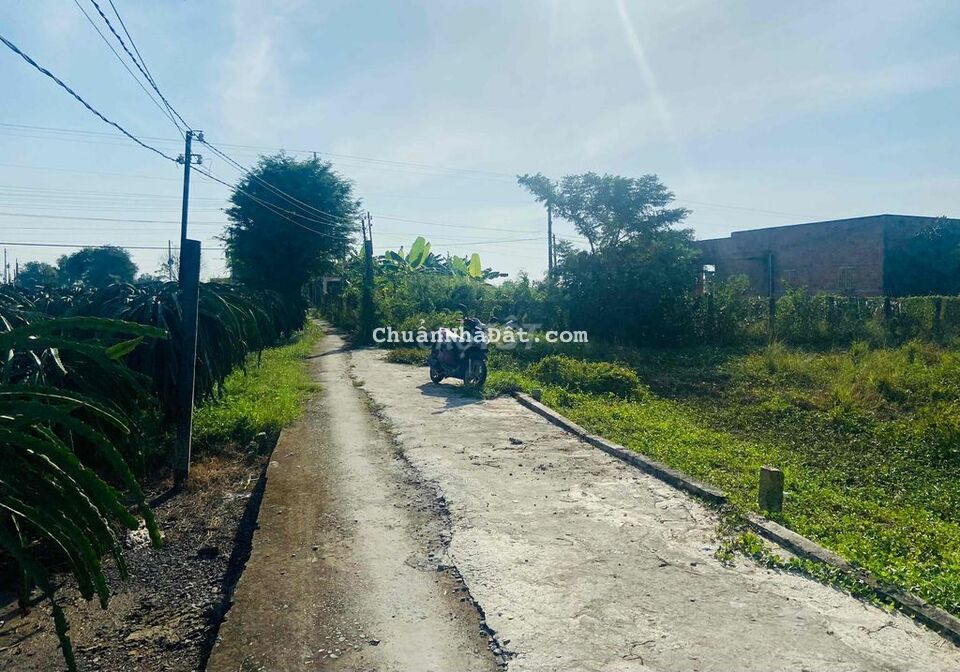 Đất thổ cư vị trí đẹp gần chợ Ông Bái 175m2 giá cực tốt để đầu tư Đất thổ cư vị trí đẹp gần chợ Ông Bái 175m2 giá cực tốt để đầu tư