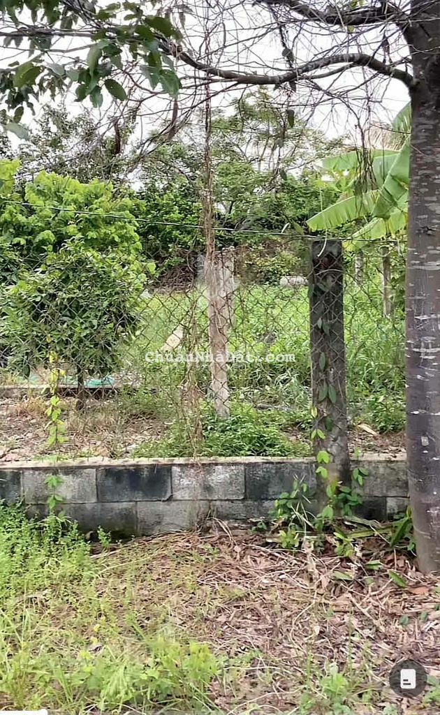 Giảm giá mạnh cho lô đất thổ cư đường nhựa An Thạnh đi vào 240m2