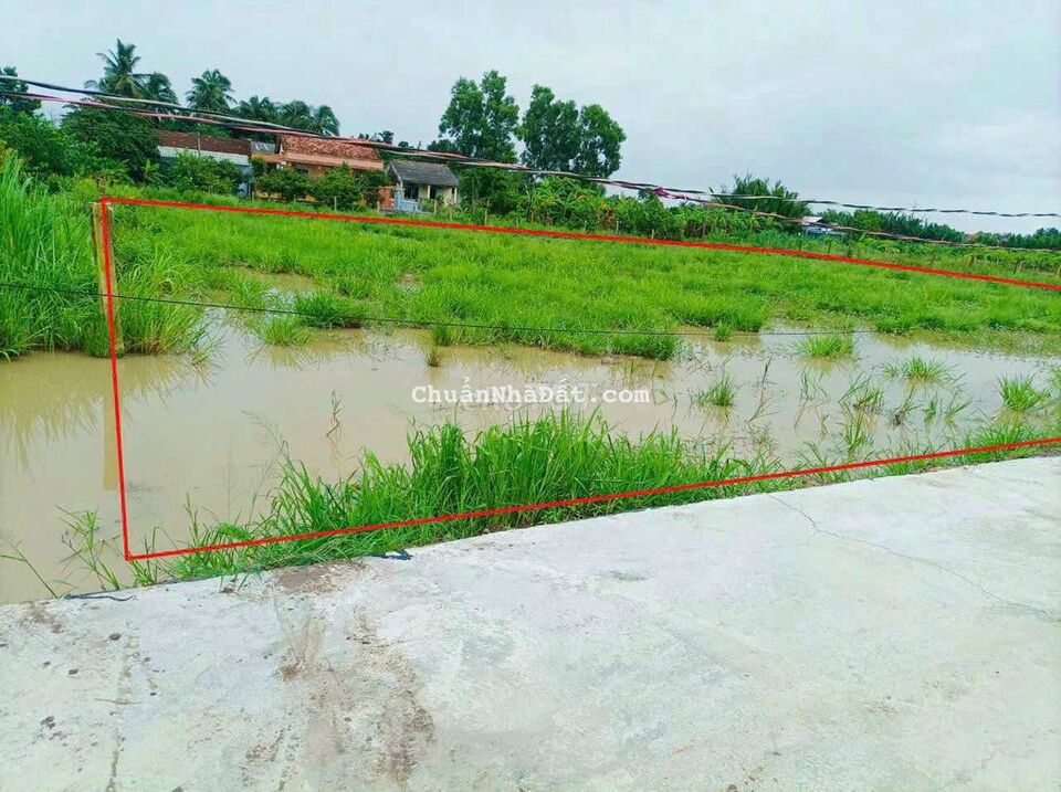 2.450m2 có 459m2 thổ cư đường bê tông 3m ôtô tới đât