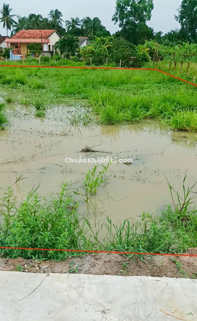 2.450m2 có 450m2 thổ cư đường ôtô ( 48x50m) 2.450m2 có 450m2 thổ cư đường ôtô ( 48x50m)