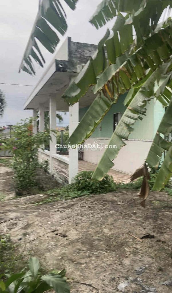 Đất thổ cư giá ngộp Châu Thành 492m2 có nhà giá chỉ 950tr