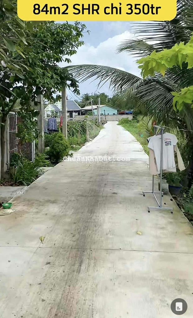 Đất thổ cư giá rẻ bèo vì chủ cần bán gấp 84m2 SHR chỉ có 359tr Đất thổ cư giá rẻ bèo vì chủ cần bán gấp 84m2 SHR chỉ có 359tr