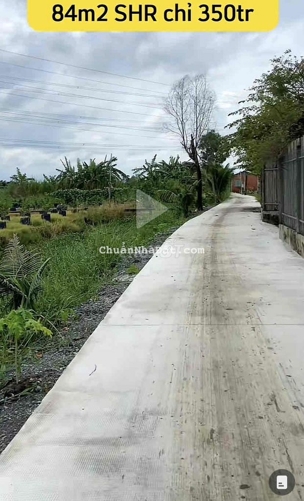 Đất thổ cư giá rẻ bèo vì chủ cần bán gấp 84m2 SHR chỉ có 359tr Đất thổ cư giá rẻ bèo vì chủ cần bán gấp 84m2 SHR chỉ có 359tr