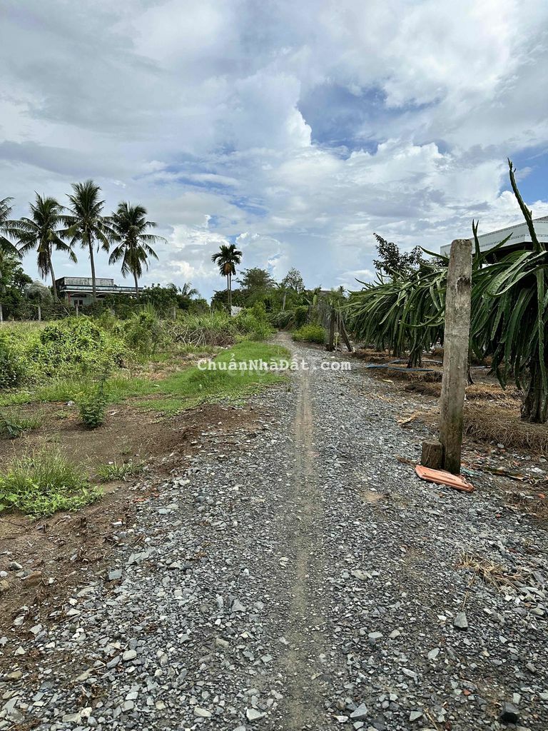 Bán đất vườn 1000m2 Dương Xuân Hội, Châu Thành, Long An