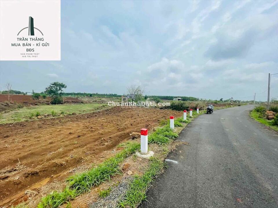 Chỉ 1tỷ350 có ngay 1sào đất Đá Bạc, đường nhựa 5m, Cách Ngã 6 ~ 1.5km