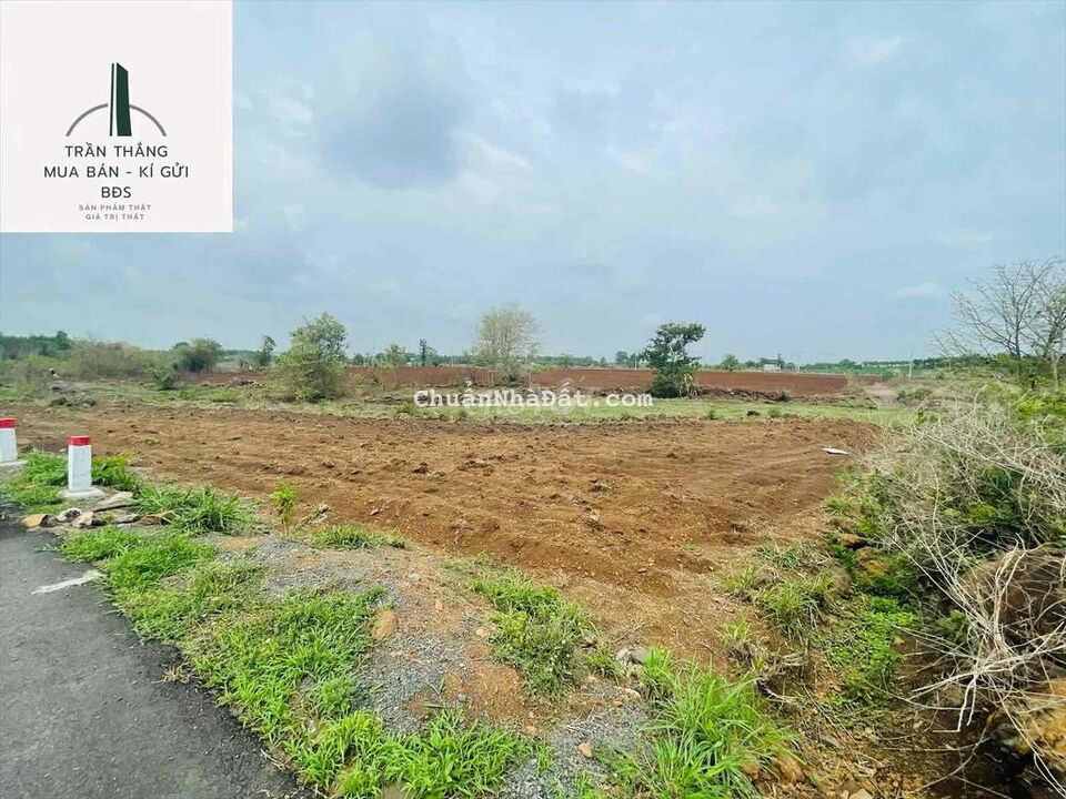 Chỉ 1tỷ350 có ngay 1sào đất Đá Bạc, đường nhựa 5m, Cách Ngã 6 ~ 1.5km