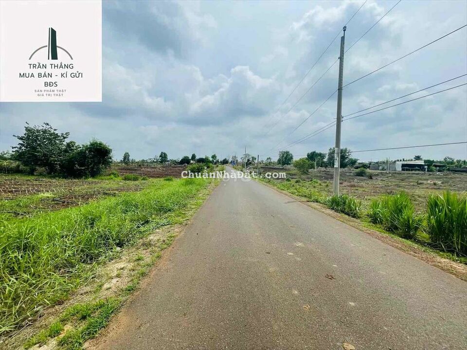 Chỉ 1tỷ350 có ngay 1sào đất Đá Bạc, đường nhựa 5m, Cách Ngã 6 ~ 1.5km