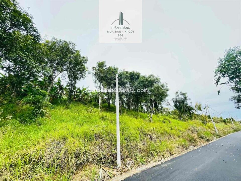 1.000m2 Đất Thế Đồi Cao Nhìn Bao Quát Hồ Suối Rao 1.000m2 Đất Thế Đồi Cao Nhìn Bao Quát Hồ Suối Rao