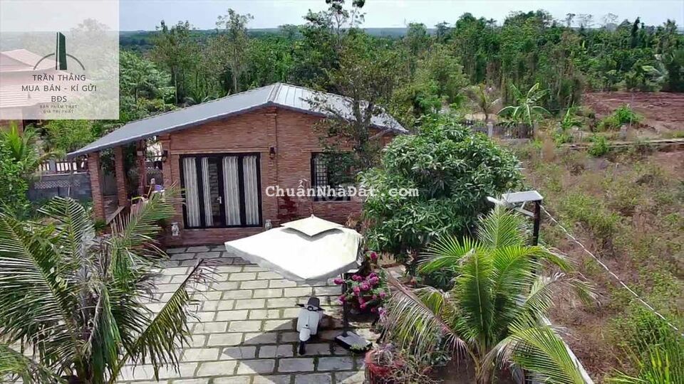 Villa Nghĩ Dưỡng Đã Hoàn Thiện - Khu Dân Cư Đông Villa Nghĩ Dưỡng Đã Hoàn Thiện - Khu Dân Cư Đông