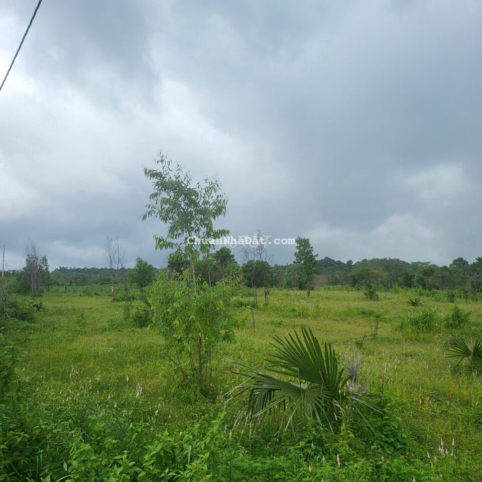 12 lô F0 mới tách sổ con bán lỗ, đất sổ đỏ riêng, mặt nhựa