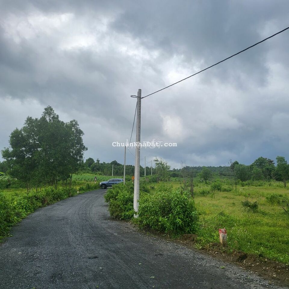 12 lô F0 mới tách sổ con bán lỗ, đất sổ đỏ riêng, mặt nhựa