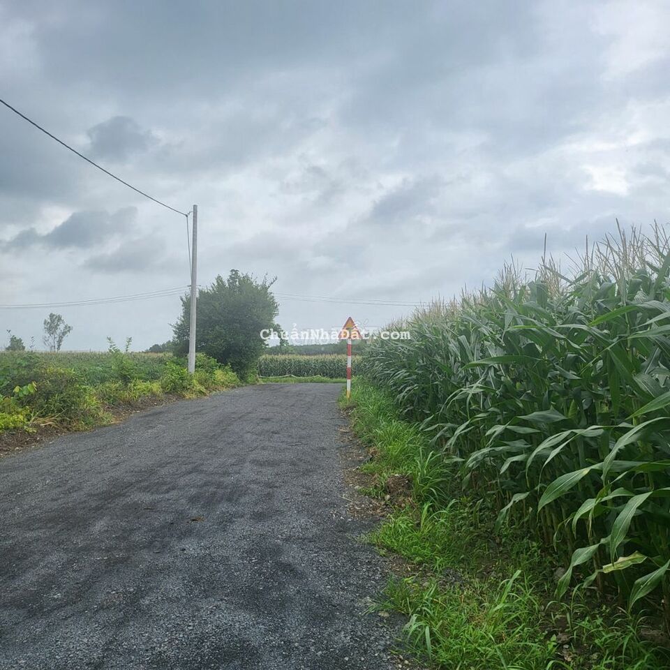 Đất sào ôm suối, mặt tiền nhựa kề cao tốc biên hòa Vũng Tàu