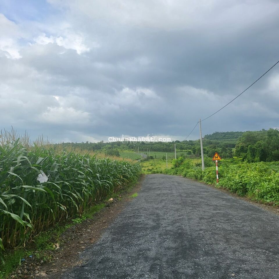 Đất sào ôm suối, mặt tiền nhựa kề cao tốc biên hòa Vũng Tàu