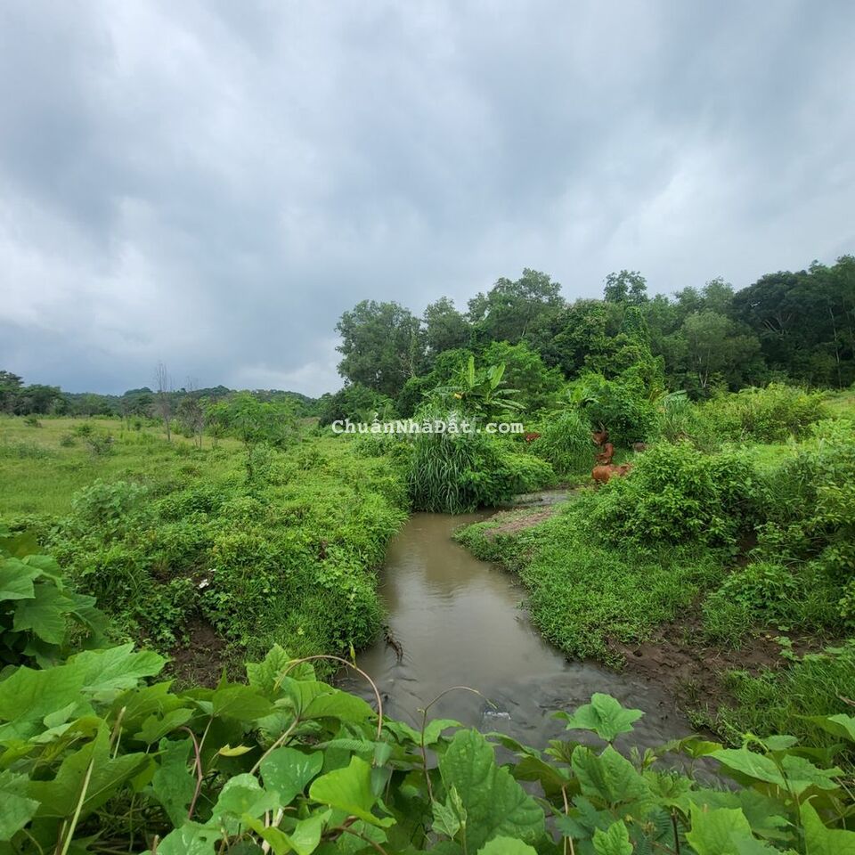 Đất sào ôm suối, mặt tiền nhựa kề cao tốc biên hòa Vũng Tàu