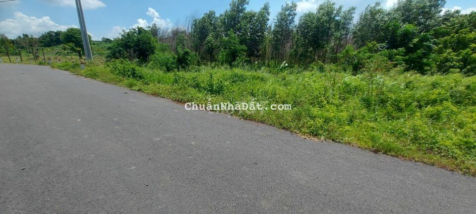 Đất sào đón đầu cao tốc Biên Hòa Vũng Tàu, đường nhựa, SR